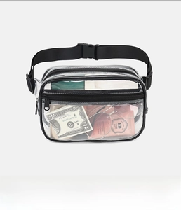 Detailed front view of clear PVC waist bag with black zippers and nylon strap