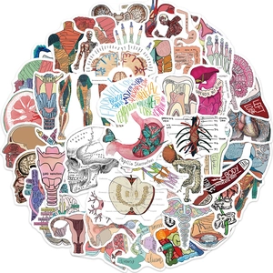 Set of 50 waterproof colorful human anatomy cartoon stickers for laptops and guitars