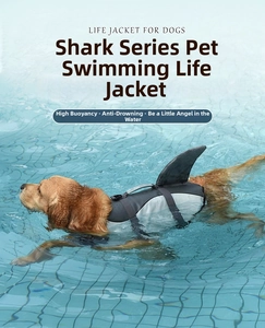 Golden retriever swimming in pool wearing shark fin style high buoyancy dog life jacket