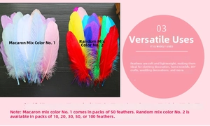 Detailed macro view of assorted macaron and rainbow dyed feathers for DIY crafts