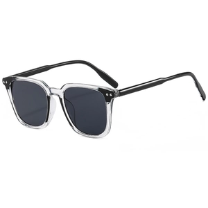 Lunettes de soleil rondes grises transparentes avec verres foncés et rivets argentés