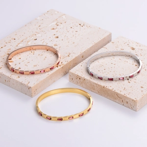 Polished stainless steel bangle set with rectangular pink zircons on stone base