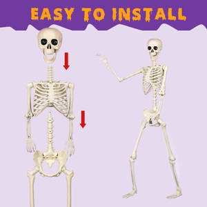 Halloween life-size 165cm human skeleton decoration with easy vertical assembly design