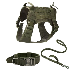 Tactical dog harness set with heavy-duty metal buckle collar and bungee leash in olive green