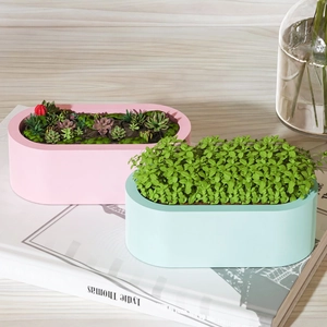 Macetas ovaladas de silicona en rosa pastel y azul para plantas suculentas modernas