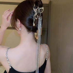 Vue détaillée d'une pince à cheveux papillon argentée avec de longs glands métalliques