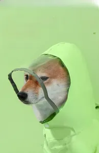 Waterproof pet raincoat with extended clear visor and functional waist storage pocket