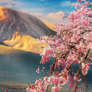 Detailed fabric texture of Mount Fuji tapestry with cherry blossoms and weaving pattern