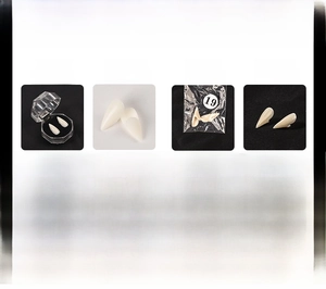 Detail showing pearl white and natural yellow vampire fangs with acrylic box packaging