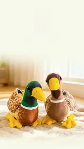 Detail of plush mallard and brown duck toys sitting on a soft white rug in warm sunlight