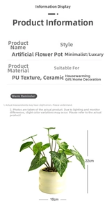 Detail showing 22cm height and 10cm width of artificial Syngonium in ceramic pot