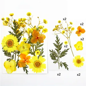 Dettaglio di 12 pezzi di fiori secchi gialli e arancioni per creazioni in resina