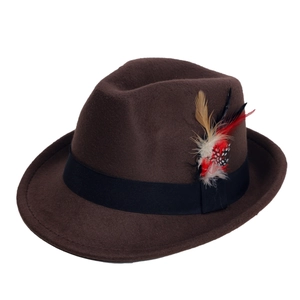 Cappello fedora classico in lana marrone scuro con nastro nero e piuma su sfondo bianco