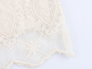 Primo piano dell'elegante tessuto in pizzo bianco crema con ricami floreali fini
