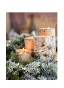 Macro detail of natural birch wood candle holders with tea lights and festive pine needles