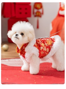 Détail du gilet rouge Tang pour animaux avec broderie dorée et bordure en fourrure