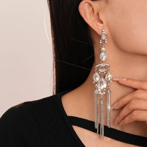 Macro shot of elegant long tassel earrings with sparkling rhinestones on model side view