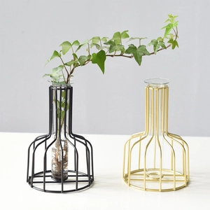 Vase Hydroponique En Fer Nordique Avec Tube À Essai En Verre Décoration De Table Support De Plante Moderne Or Noir
