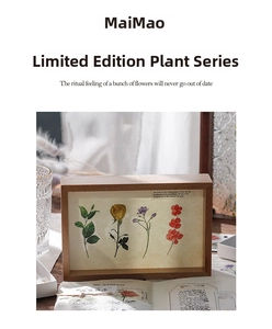 Detail of vintage botanical stickers in a wooden frame with elegant floral patterns