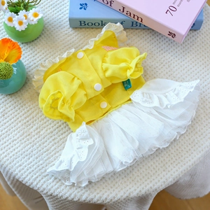 Close-up of dog princess dress with yellow shirt collar and white mesh tulle skirt