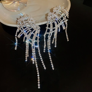 Detailed macro shot of luxury mesh tassel earrings with shimmering crystals and silver finish