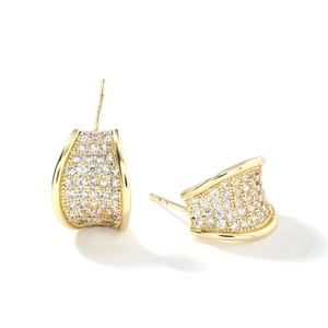 Élégantes boucles d'oreilles dorées avec micro-pavé de zircone et design incurvé