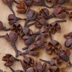 Flat lay macro of natural dried pine cones and seed pods on a light wood background