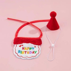 Detail of red pet birthday bandana with embroidery and matching mini party hat set