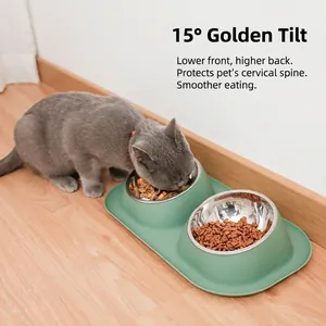 Double stainless steel pet bowls with 15-degree tilted stand for cat neck protection