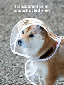 Close-up of a clear PVC pet raincoat hood with white trim for unobstructed dog vision