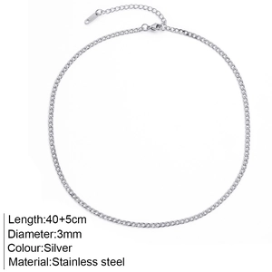 Minimalist silver stainless steel chain necklace with lobster clasp and extension chain
