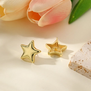 Polished 18k gold plated star stud earrings displayed with pink tulip and stone
