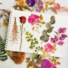 Detail of botanical scrapbooking stickers with rose and eucalyptus patterns on grid paper