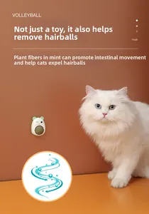 Rotating catnip wall toy for cats with natural fibers to promote healthy digestion