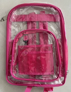 Detail view of transparent PVC backpack with pink straps and front mesh organizer compartment