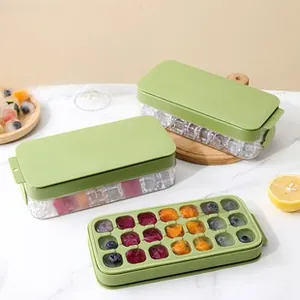 Detail showing food-grade PP ice cube tray with fruit-filled cubes and storage box