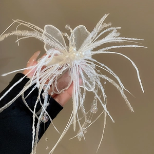 Vue détaillée d'une pince à cheveux papillon en plumes blanches avec pompons de perles