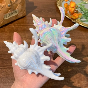 Detailed view of iridescent conch shell hair claw clip held in hand on wooden table