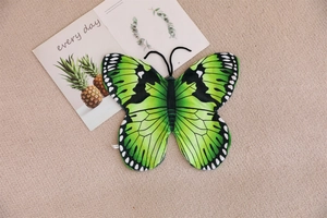 Detailed top view of butterfly plush shell showing green gradient and wing textures