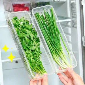 Large transparent airtight fridge storage box for fresh scallions and cilantro vegetables