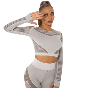Set yoga due pezzi senza cuciture con top corto a maniche lunghe e leggings a vita alta