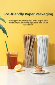 Individually paper wrapped eco-friendly disposable straws for tea and coffee service