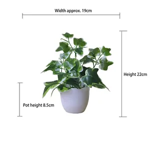 Artificial ivy plant in white pot with dimensions: height 22cm, width 19cm, pot height 8.5cm