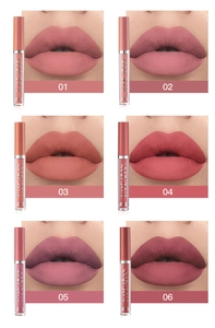 Matte liquid lipstick set detail, waterproof long-lasting lip gloss in 6 gorgeous shades.