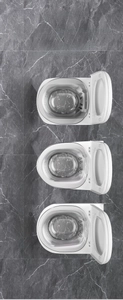 Universal rimless bidet basin compatible with square, V-shape and O-shape toilet seats
