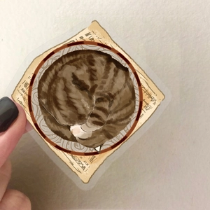 Detail of transparent PET sticker featuring a sleeping tabby cat with retro script elements