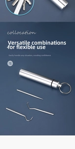 Detail of 304 stainless steel dental cleaning set with portable storage case and keychain
