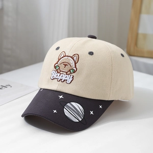 Detail of kids baseball cap with puppy embroidery and starry pattern on the brim