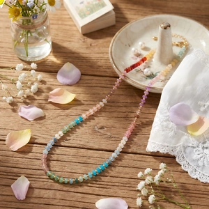 Handmade Seed Bead Necklace Choker Bohemian Rainbow Colorful Jewelry For Women Summer Beach Adjustable Layering Accessory