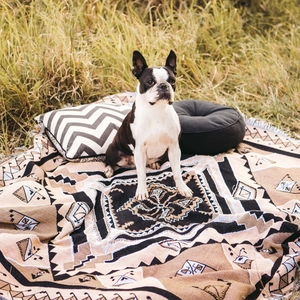 Bohemian geometric woven blanket with tassels on green grass with a small pet dog